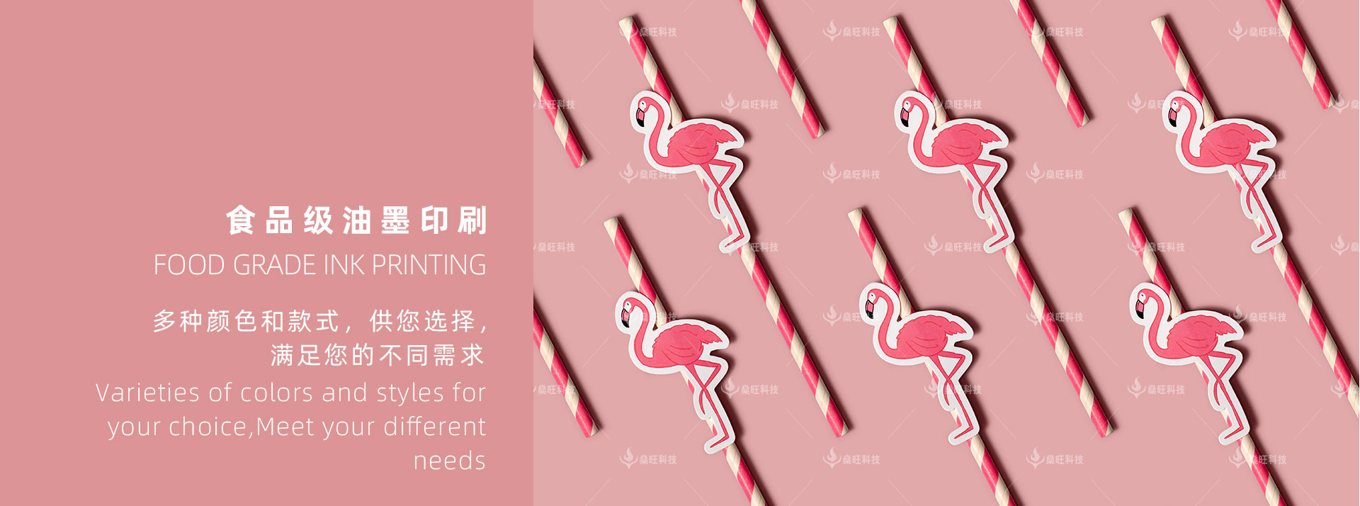 網(wǎng)站-2產(chǎn)品介紹-07彩色貼紙環(huán)?？ㄍㄎ躝05.jpg